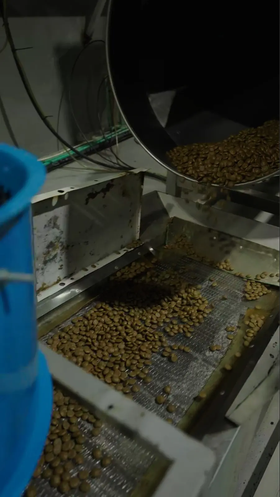 Rea Trading Company production facility — kibble leaving the controlled dryer