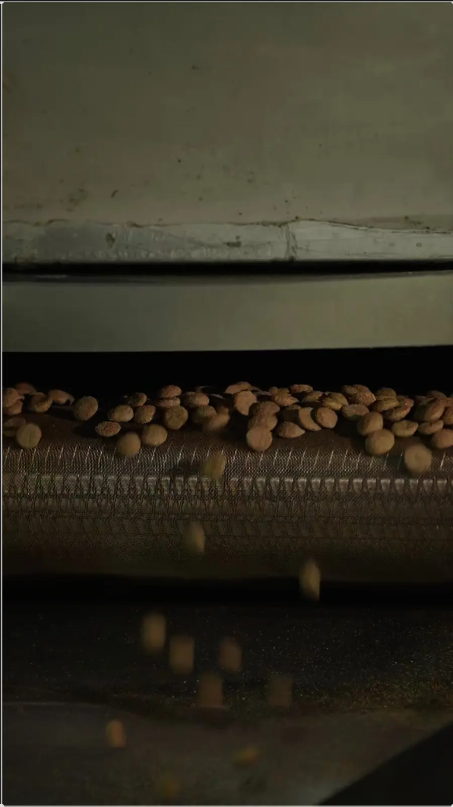 Rea Trading Company production facility — extrusion and drying hall