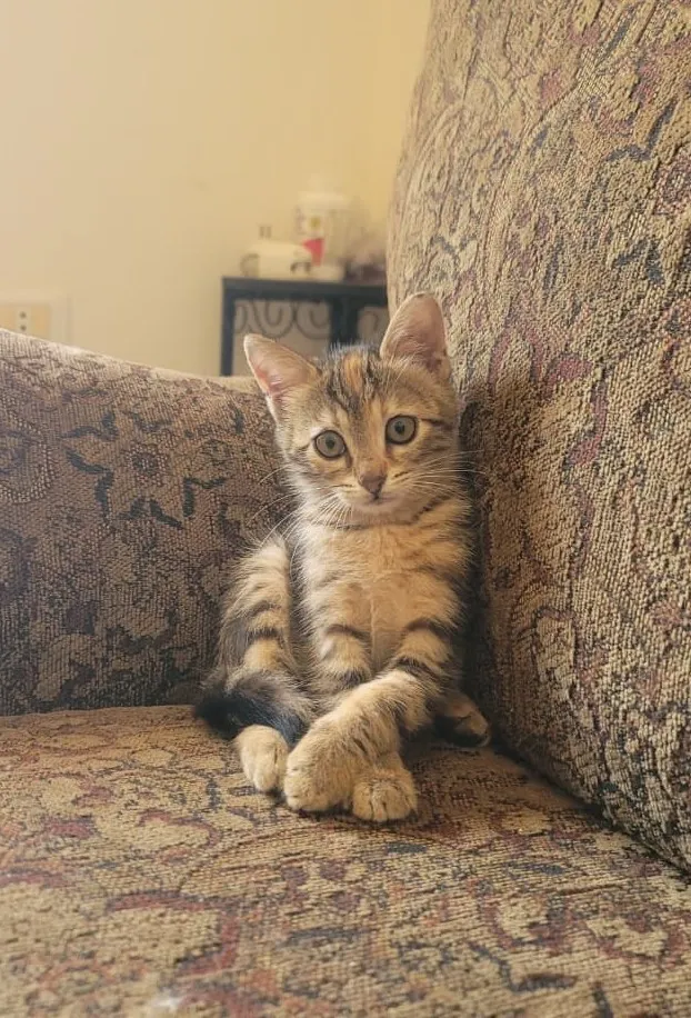 Luna