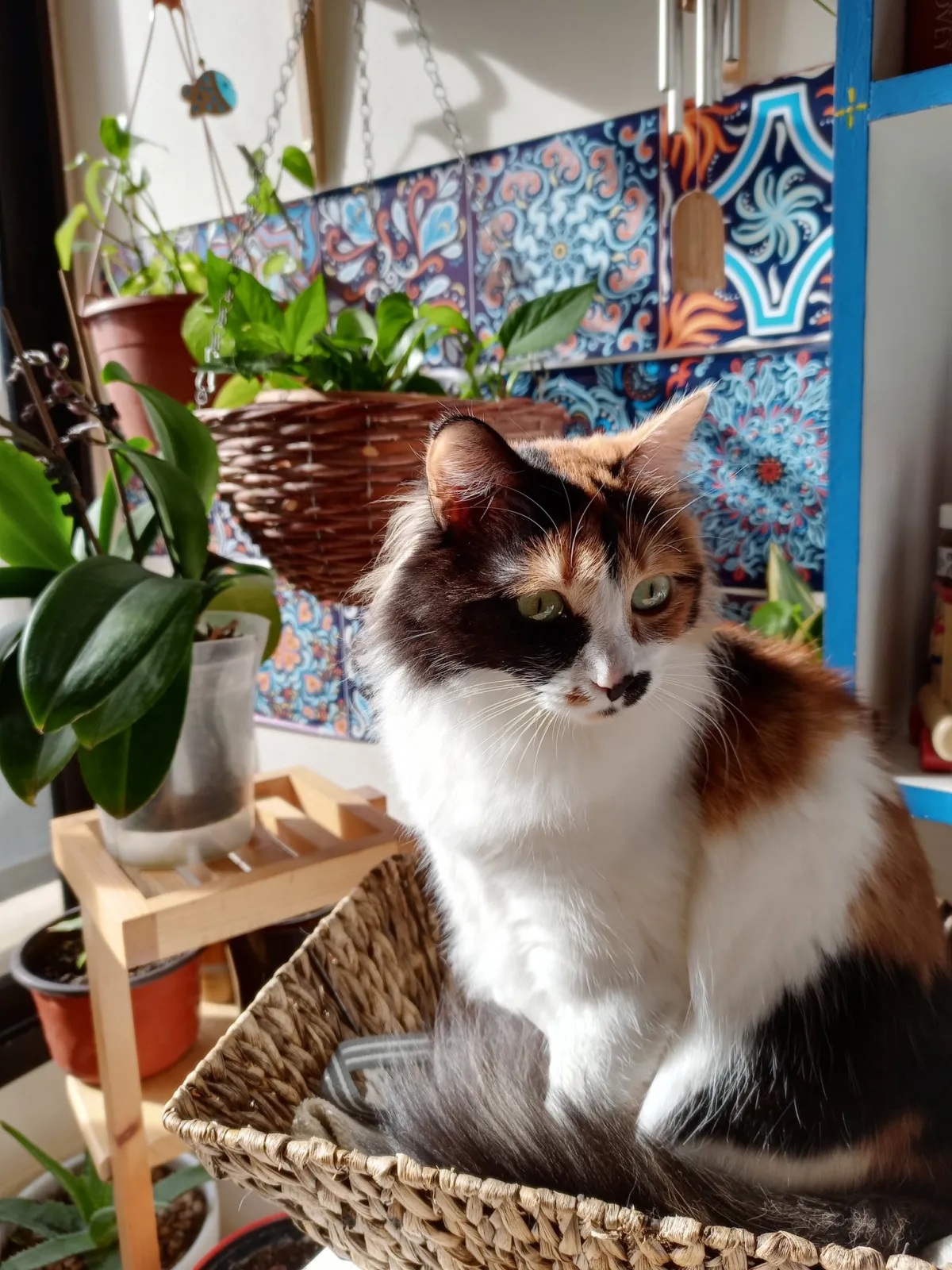 LUNA