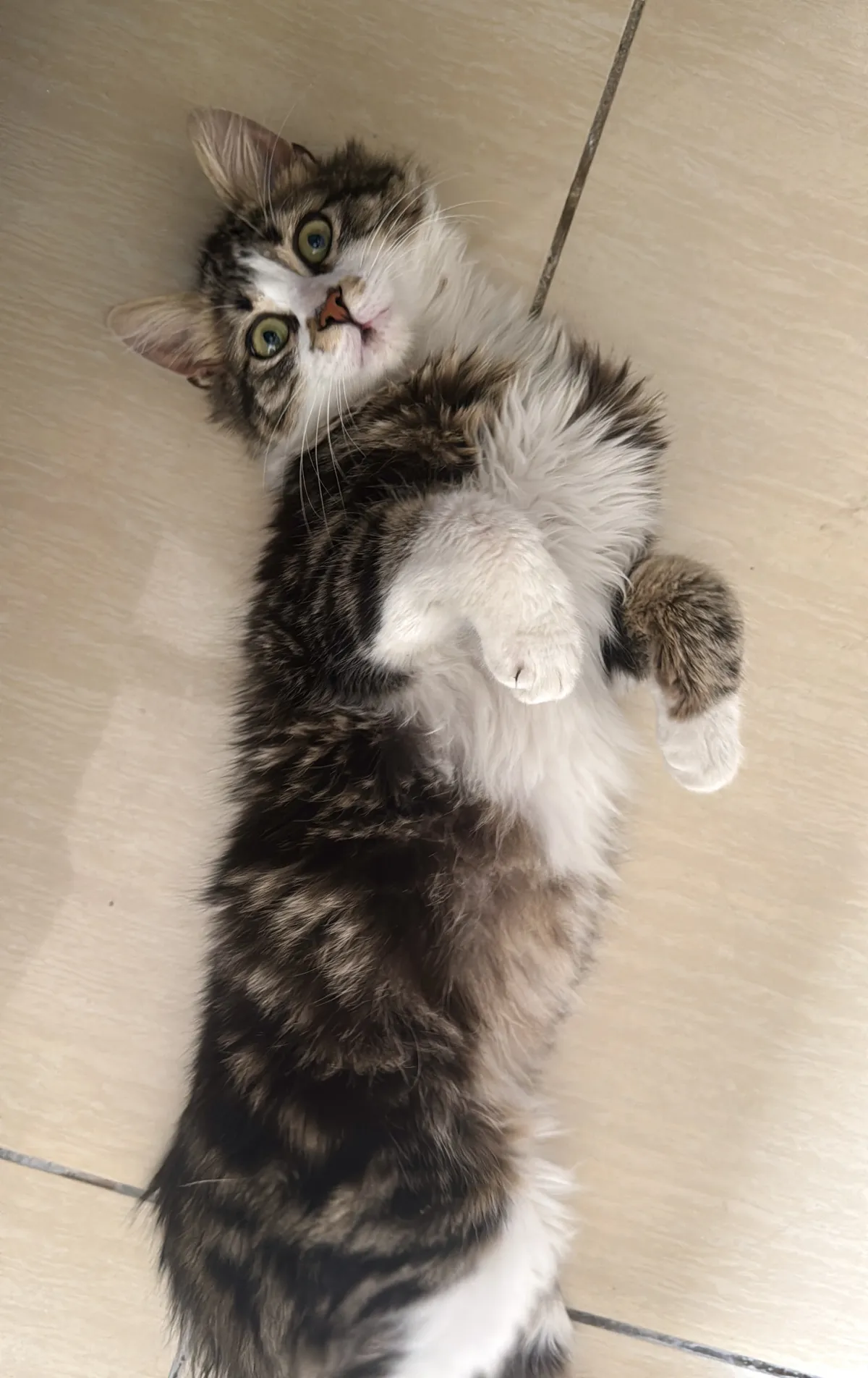 Sultan